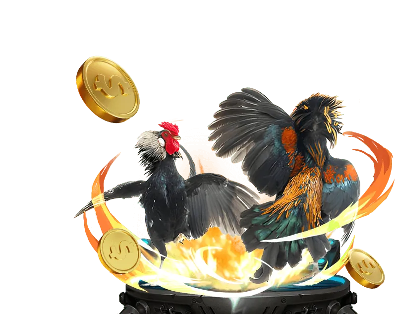 Cá cược bóng đá tại vb777 casino